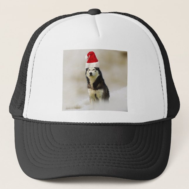Siberian husky Hund med Santa Hat i Snö Keps (Framsida)
