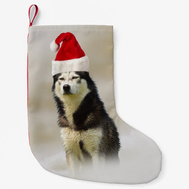 Siberian husky Hund med Santa Hat i Snö Liten Julstrumpa (Framsidan)