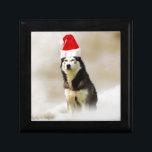 Siberian husky Hund med Santa Hat i Snö Smyckeskrin<br><div class="desc">Siberian husky Hund med Santa Hat i Snö</div>