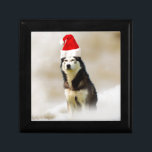 Siberian husky Hund med Santa Hat i Snö Smyckeskrin<br><div class="desc">Siberian husky Hund med Santa Hat i Snö</div>