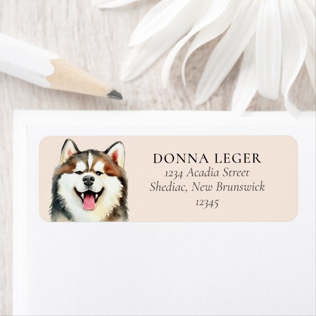 Siberian husky Hund Personlig Adress Returadress Etikett (Insitu)