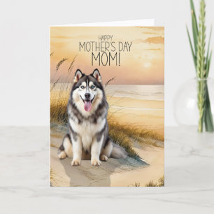 Siberian Husky Hund Solnedgång Strand Mors Dag Helgkort