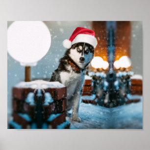 Siberian husky hund som bär julhat poster
