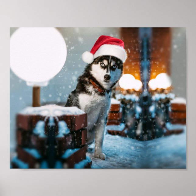 Siberian husky hund som bär julhat poster (Framsidan)