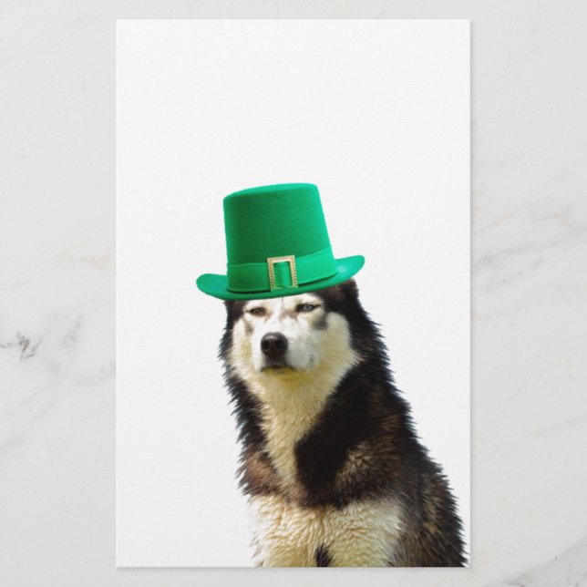 Siberian husky Hund St. Patrick's day Brevpapper (Framsida)