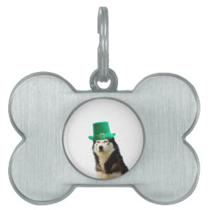 Siberian husky Hund St. Patrick's day ID-bricka Husdjur