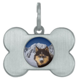 Siberian Husky Husdjurs-ID-märket ID-bricka Husdjur