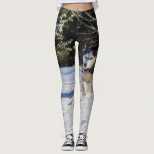 Siberian husky i snön leggings