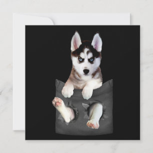 siberian husky in Pocket Puppy Julkort