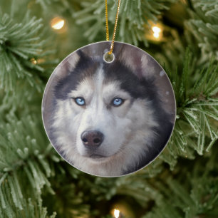 Siberian husky julgransprydnad keramik