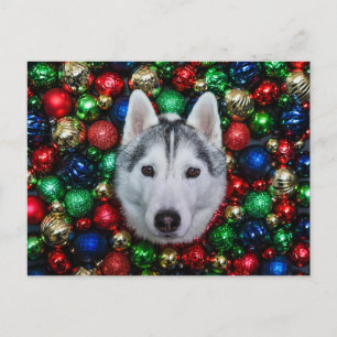 Siberian husky julklapp för prydnadsföremål vykort