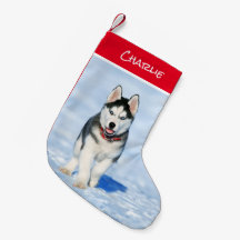 Siberian husky-julklapp