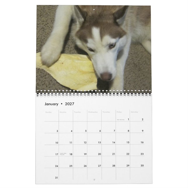 Siberian husky kalender (Jan 2027)