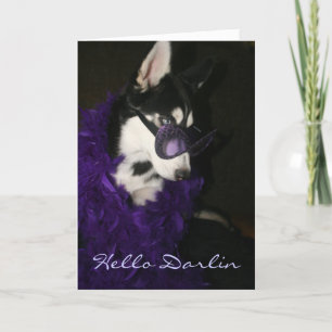 Siberian husky kort