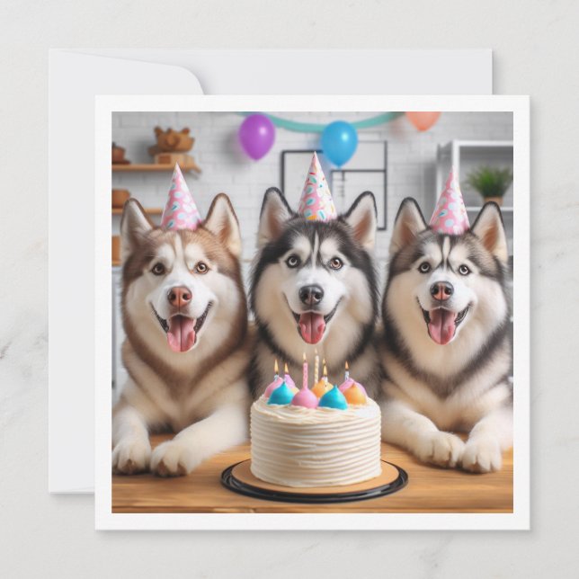Siberian husky-kort, Husky-kort, hund-födelsedag Inbjudningar (Framsida)