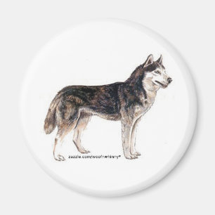 Siberian husky! magnet