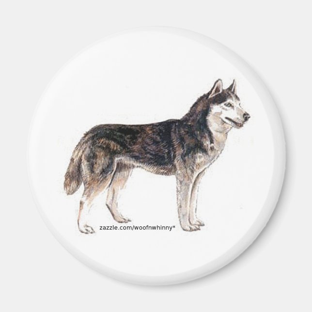 Siberian husky! magnet (Framsidan)