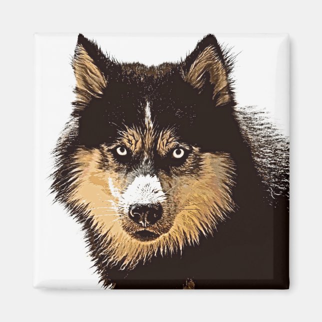 Siberian husky magnet (Framsidan)
