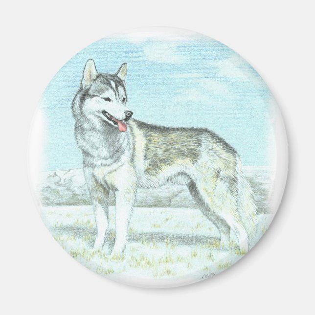 Siberian husky magnet (Framsidan)