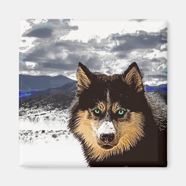 Siberian husky Magnet (Framsidan)