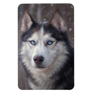 Siberian husky magnet