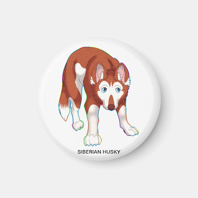 SIBERIAN HUSKY MAGNET (Framsidan)