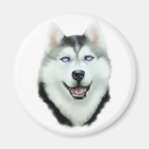 Siberian husky magnet