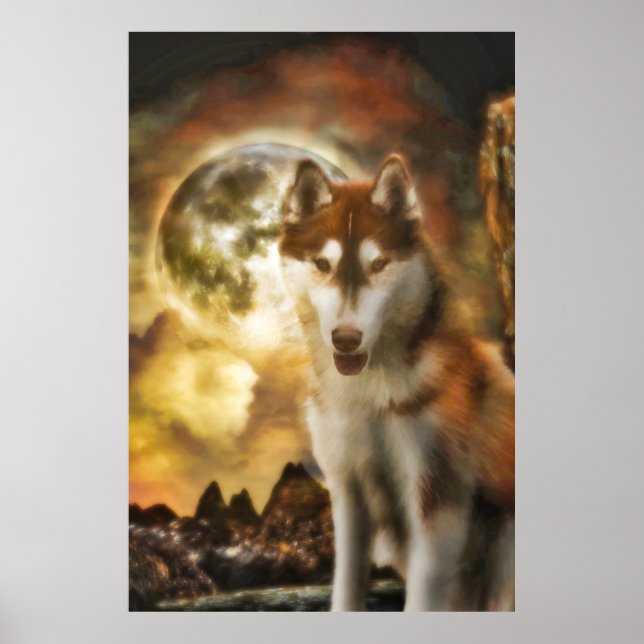 SIBERIAN HUSKY MÅNE KINGDOM POSTER (Framsidan)