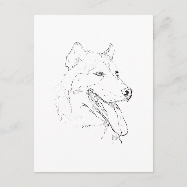 Siberian Husky – minimalistisk hund linjedragning Helg Vykort (Framsida)