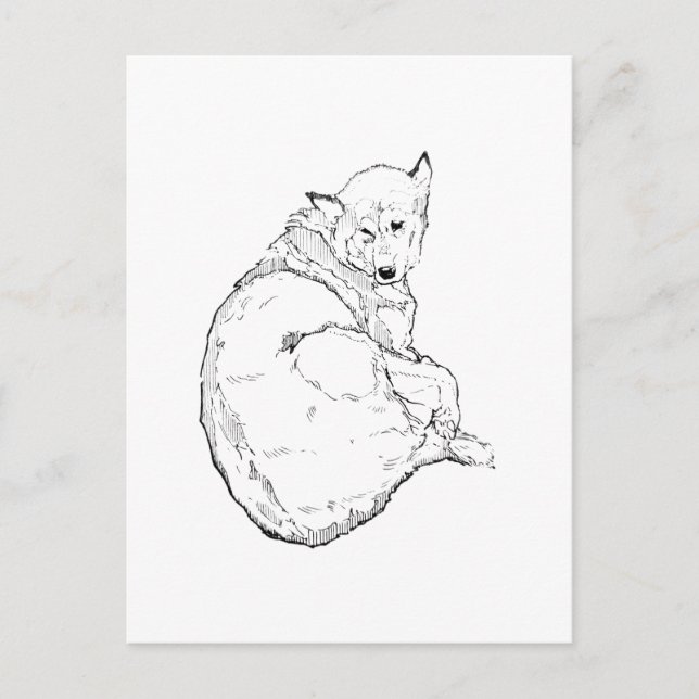 Siberian Husky, minimalistisk hundillustration  Vykort (Framsida)