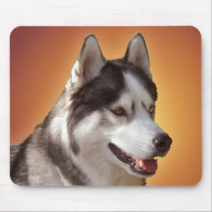 Siberian husky Mousepad Gifts Malamute Sled Hundar Musmatta
