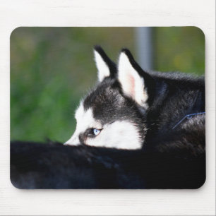 Siberian husky Mousepad Musmatta