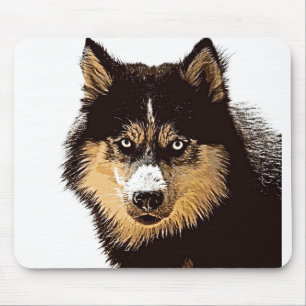 Siberian husky musmatta
