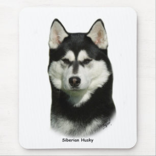 Siberian husky musmatta