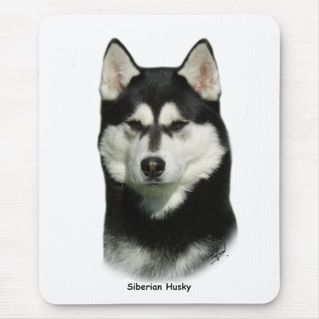 Siberian husky musmatta (Framsidan)