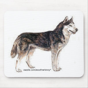 Siberian husky! musmatta