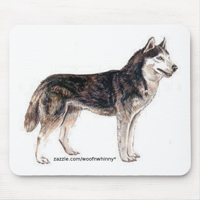 Siberian husky! musmatta (Framsidan)