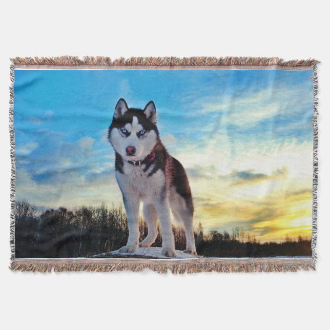 Siberian husky mysfilt (Framsidan)