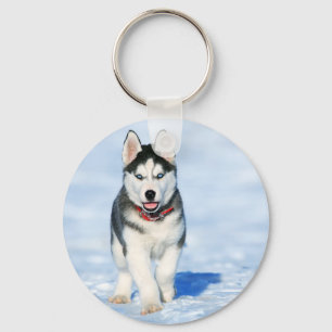 siberian husky nyckelring