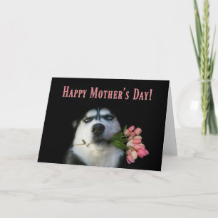Siberian Husky och tulpaner Glad mors dag Kort