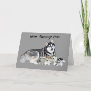 Siberian husky och valpar - hälsningskort helgkort
