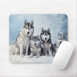 Siberian husky-paket musmatta