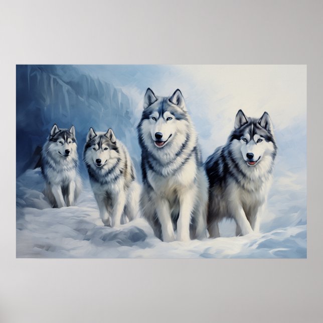 Siberian husky-paket poster (Framsidan)
