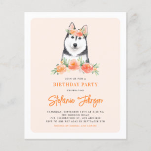 Siberian husky Peach Blommigt Birthday-inbjudan