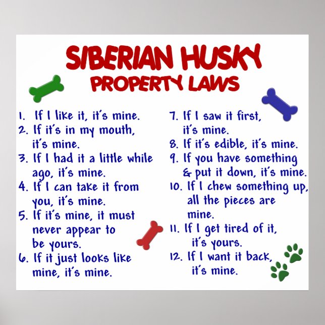 SIBERIAN HUSKY PL2 POSTER (Framsidan)