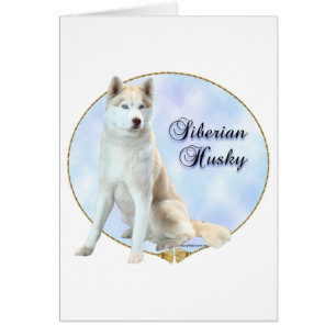 Siberian husky Porträtt Hälsningskort