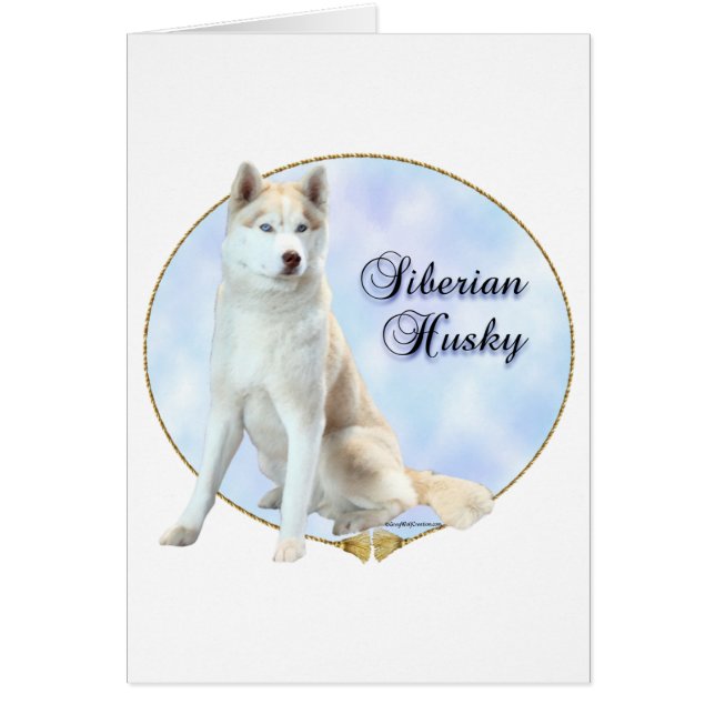 Siberian husky Porträtt Hälsningskort (Framsidan)
