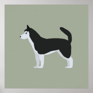 Siberian husky poster