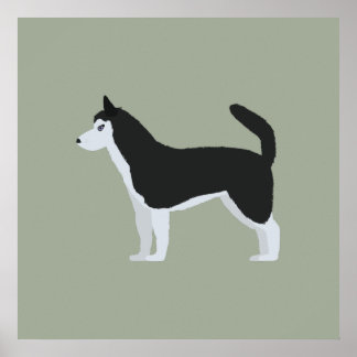 Siberian husky poster