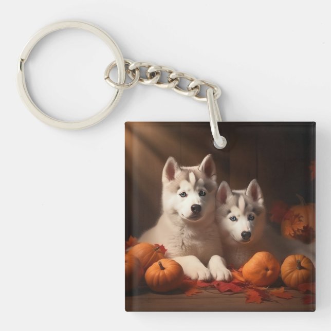 Siberian husky Pumpkin för höstdelight (Framsidan)